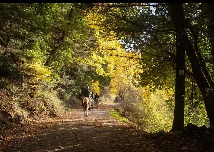 Отель Mylaon Boutique & 5*